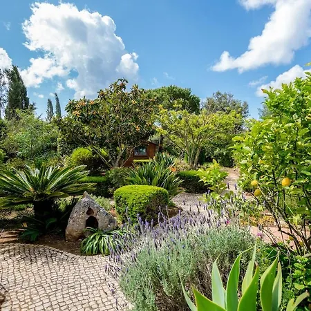 Villa Spacious With Pool, Hot Tub And Large Garden Luz