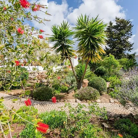 Spacious With Pool, Hot Tub And Large Garden Villa Luz
